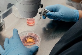  Клиника Центр ЭКО в Ставрополе